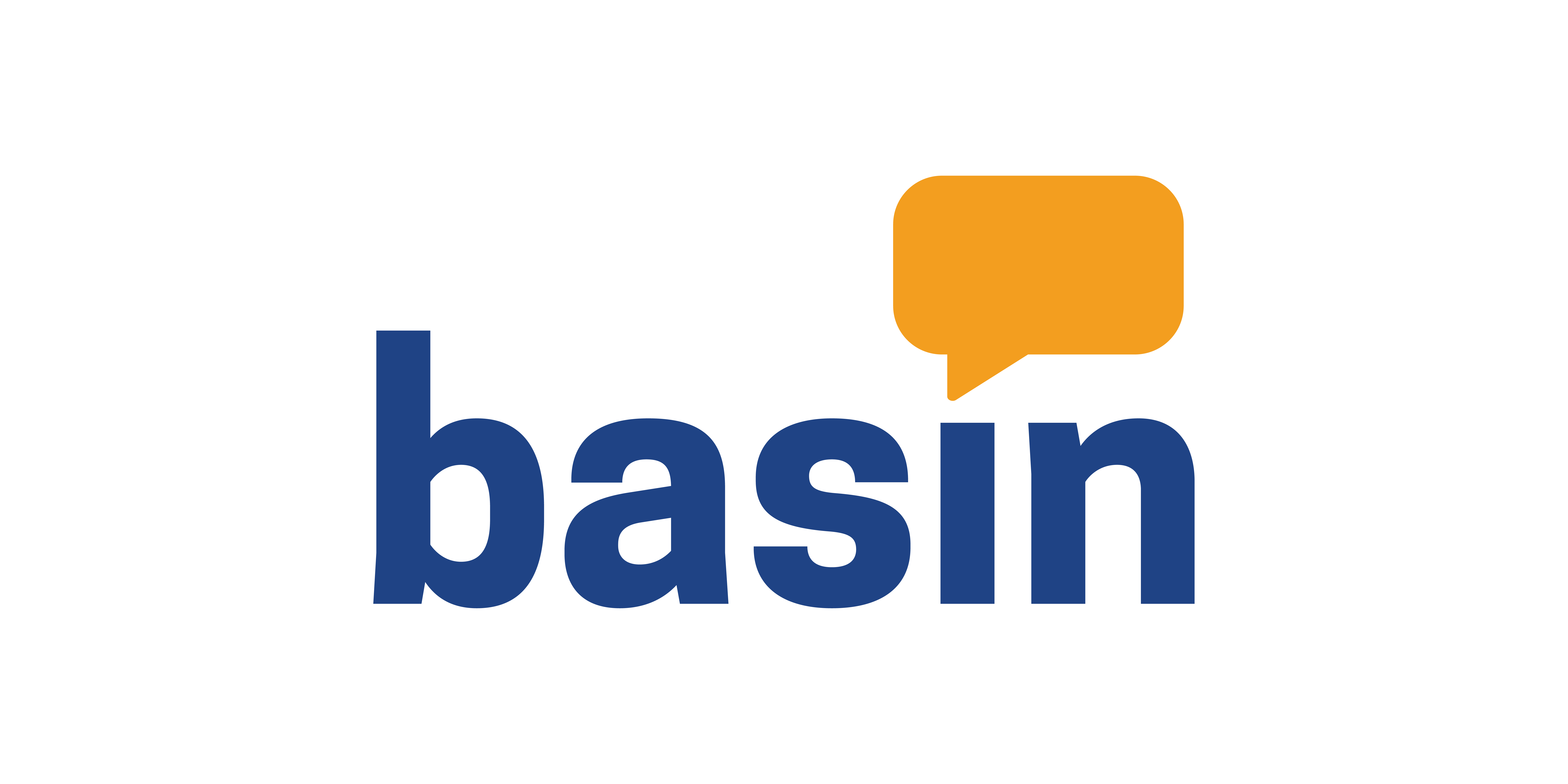 Basin Logo